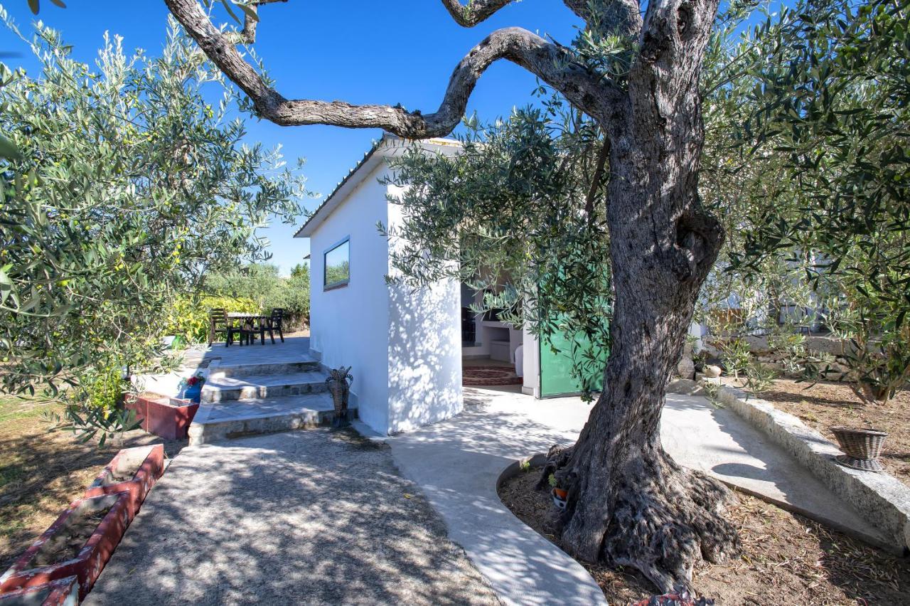 Casa Rina Villa Sassari Exterior foto